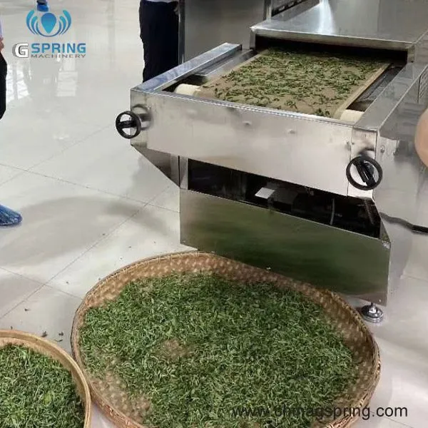 Automatic Industrial Microwave Dryer for Herbal Leaves Processing PLC Control Drying Sterilization Equipment photo-2
