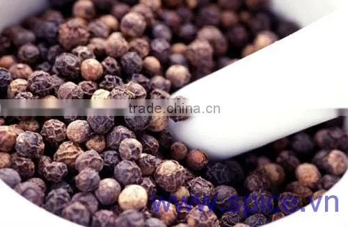 Black Pepper (Worldwide Trading) photo-4