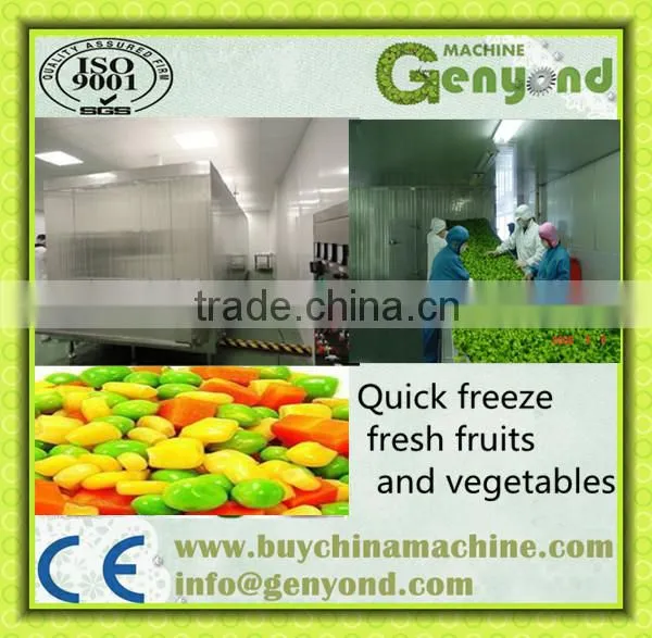 tunnel quick freezer price/quick freezing tunnel
