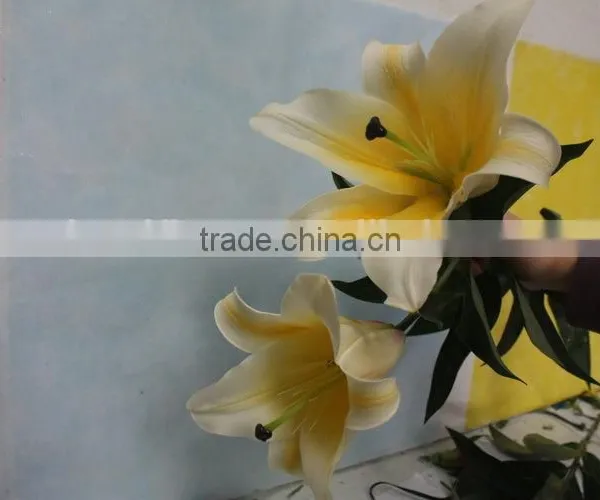 Most Popular Factory Direct Yellow Fresh Lilies photo-5