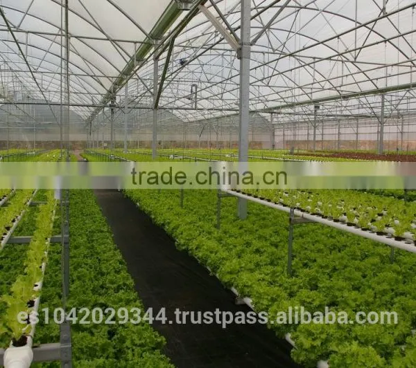 Greenhouse Climate Control System H2h Environment 1000 With Sensors photo-5