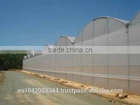 Versatile Tropical Greenhouses for NFT, Hydroponics and Drip Irrigation photo-4