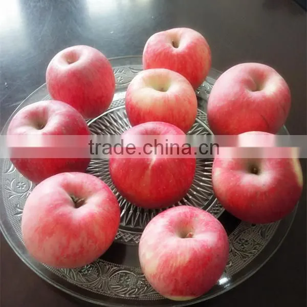 New Season Fuji Apples With Cheap Price From Fruits Factory photo-4