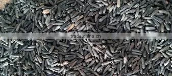 Niger Seeds/nyjer Seeds From India