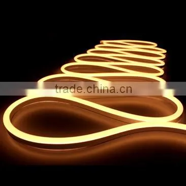 2700K Led Neon 240V 120V 24V 12V photo-6