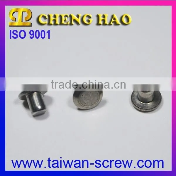 Customized Galvanized Steel Carbon Rivet photo-2