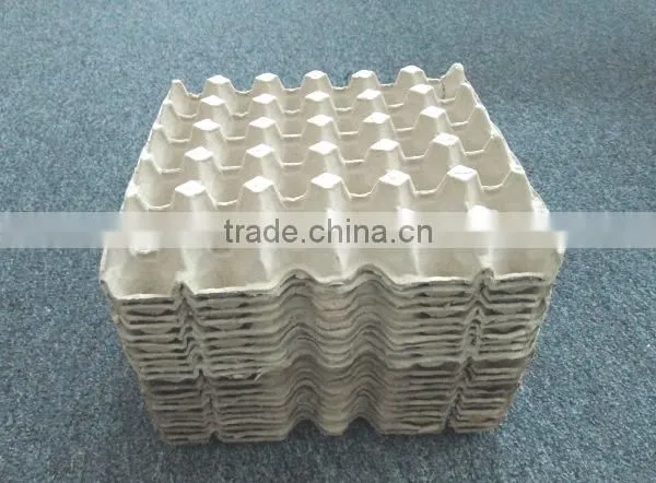 EGG TRAY 30 photo-3