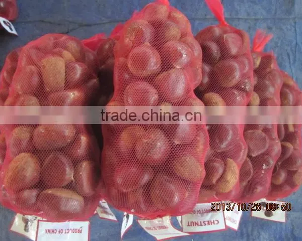 Sweet Chestnut for Sale photo-4