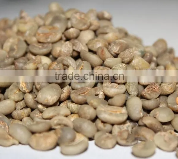 Raw Green Coffee Beans photo-4