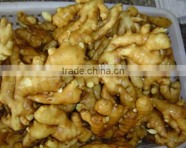 Fresh Washed Ginger photo-3