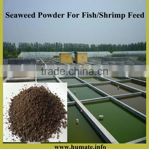 Competitive Price High Qiality Kelp Meal Feed photo-5