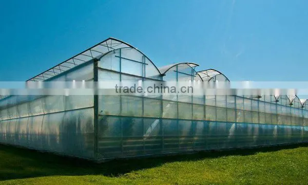 Used Greenhouse Natural Ventilation Greenhouses for Sale photo-2
