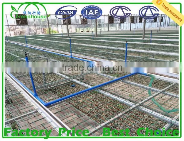 Agriculture Farming/ Greenhouse photo-6