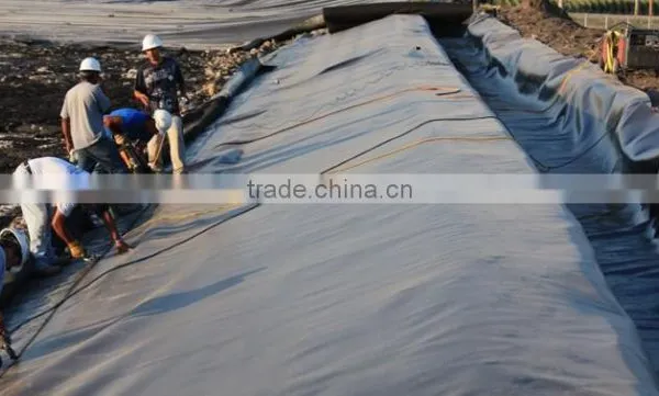 Hdpe Geomembrane Liner photo-6