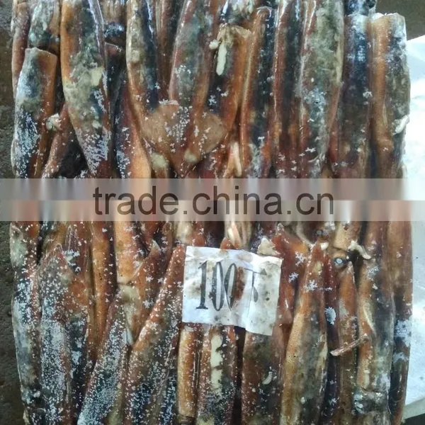 Wholesale Fresh Frozen Illex Squid Price