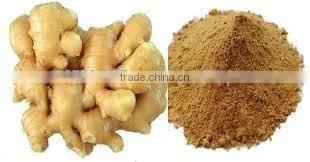 Zingiber Officinale Extract photo-3