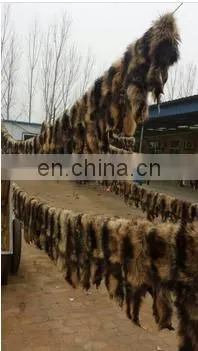 Factory Wholesale High Quality Cheap Price Raccoon Skins Raccoon Trimming photo-2