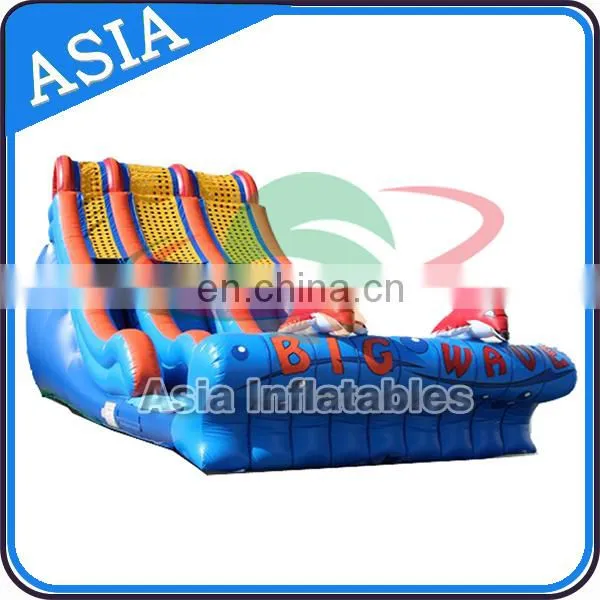 Sunshine Dolphins Playground Inflatable Water Slide photo-4