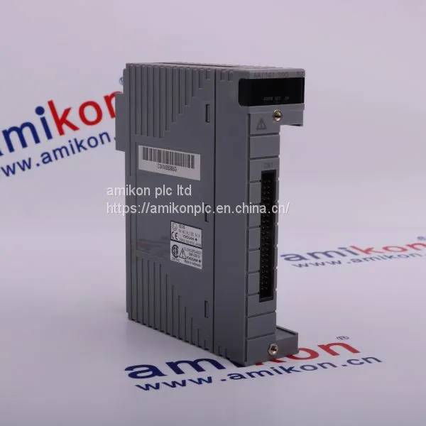 YOKOGAWA AAI141-S00 0950-3017 PS605-0101 photo-5