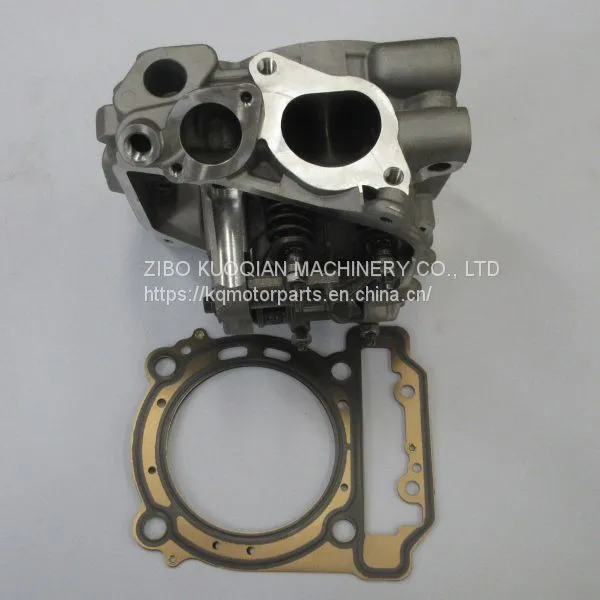 Cylinder Head for Can-Am BRP 1000 ATV Side by Side photo-2