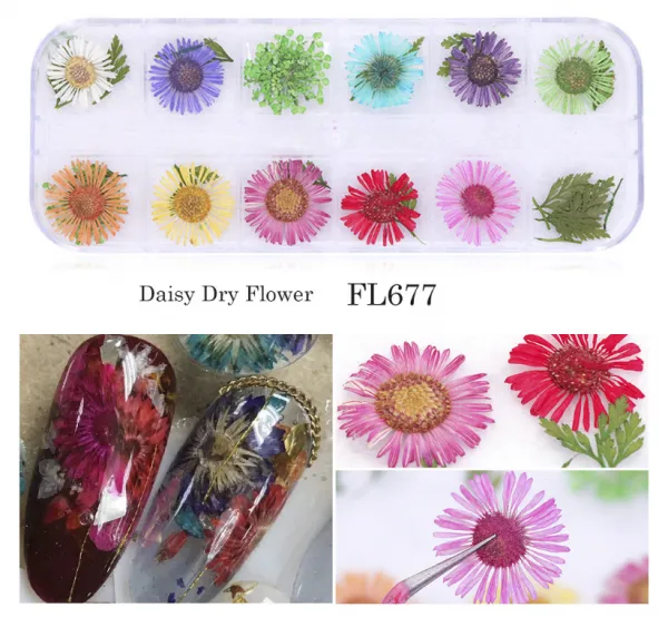 Natural Floral Leaf Stickers Dried Flowers Nail Pressed Flower Nail Art photo-2