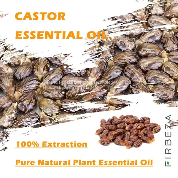 Wholesale Price Cold Pressed Bulk Pure Organic Black Castor Essential Oil For Hair Growth photo-2