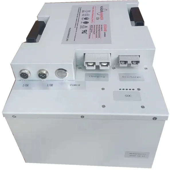 Hawk Lithium Iron Phosphate Battery EV24-60 Traction Power Function photo-2