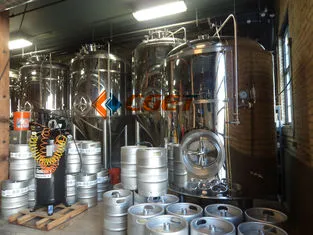 3000L Large Scale Brewing Equipment 304 Sanitary Pumps photo-5