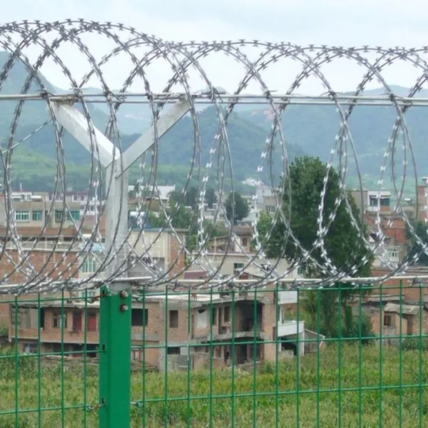 Hot Selling Galvanized Multiple Types Razor Barbed Wire photo-5