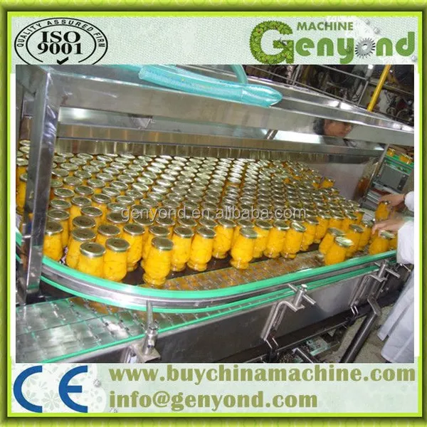 Fruit Canning Machines for Pineapple Mango photo-6