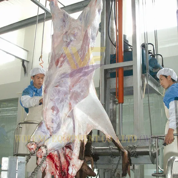 One Stop Goat Slaughterhouse Solution Complete Slaughter Line Machinery by WFA Engineering photo-4