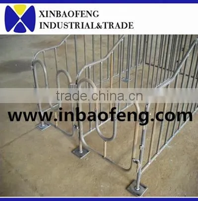 Pig Farming Equipment Gestation Stall Gestation Crate photo-2