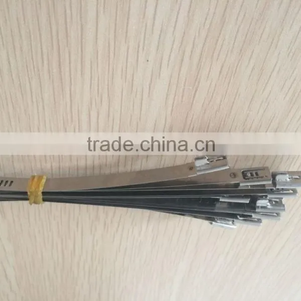 Hot Sales Stainless Steel Lock Ball Ties (material:304-201-316 ) 12*1050 photo-3