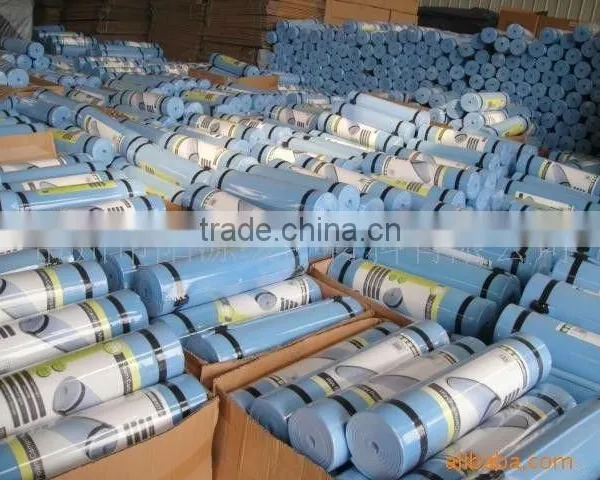 173x60cm Earthing EVA Yoga Mat