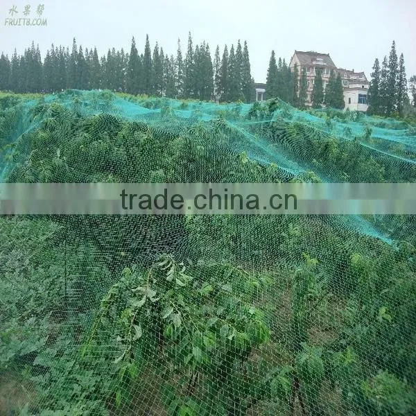 White Crystal Colour Raschel Knitted Polyethylene Agriculture Hail Protection Net,hail Net,anti-hail Net photo-5