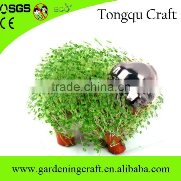 Return Gifts for Birthday Chia Pet Diwali Gifts Baby Shower Gifts