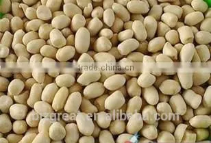 Supply Chinese Blanched Peanut Kernels Round for Sales photo-3