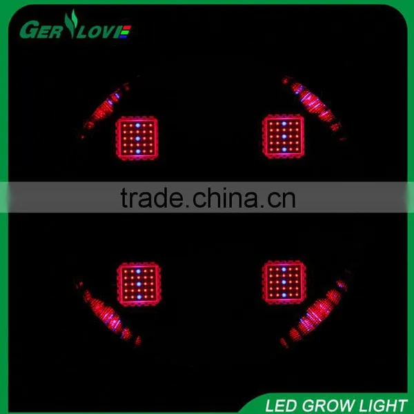 Ip 44 Led Grow Light Panel Grow Led Light Full Spectrum Cob 300watt Led Plant Growth Lights Best Heating Lamps for Greenhouses photo-5