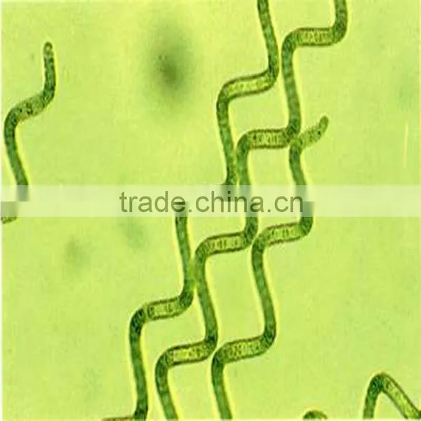 2015 Healthy Algae Spirulina for EU & USA Market photo-2