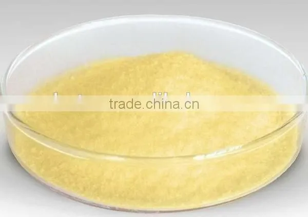 Kaempferol Powder photo-5
