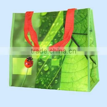QS Certificate Supermarket Fruit Pp Woven Lamination Shopping Bag Recycled Promotional Bags