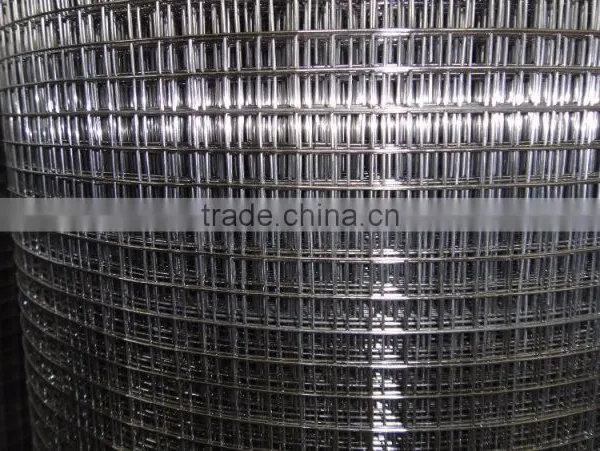 Electro-galvanized 1/2 Inch Mesh Welded Wire Mesh for Construction photo-6