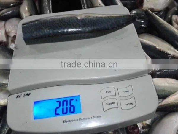 HGT Pacific Mackerel Scomber Japonicus Headless Gutted Tailess photo-5