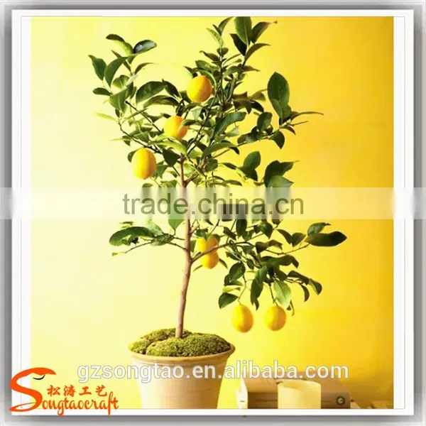 Wholesale Indoor Artificial Potted Decoration photo-2