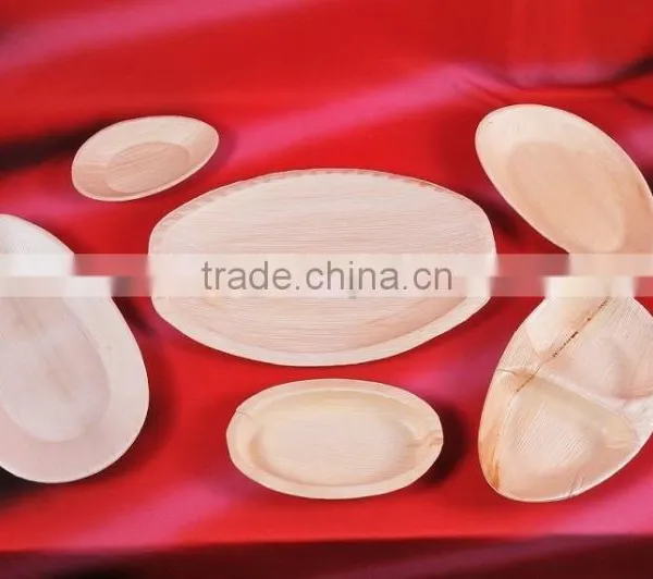 Biodegradable Tableware photo-5