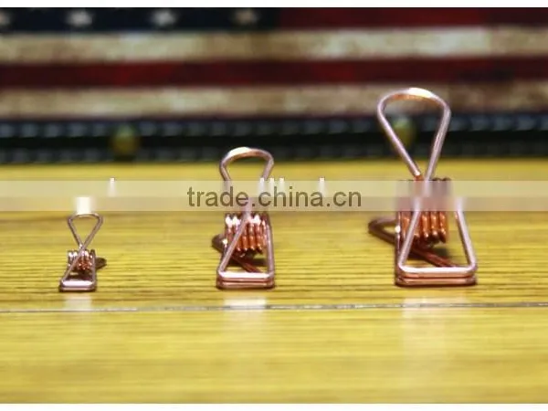 Multi Color Fresherman Clips for Office photo-6