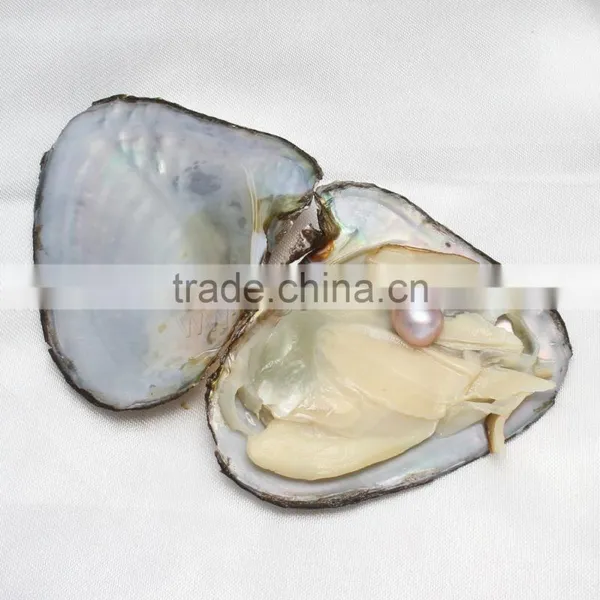 Raw Pearls Freshwater Cultured Love Wish 7.5-8mm Rice Pearl Oyster photo-3