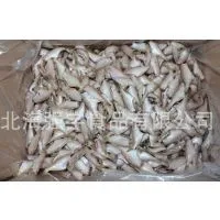 Frozen Filefish Fillet Small Size