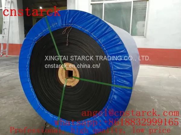 Polyester Conveyor Belt photo-2