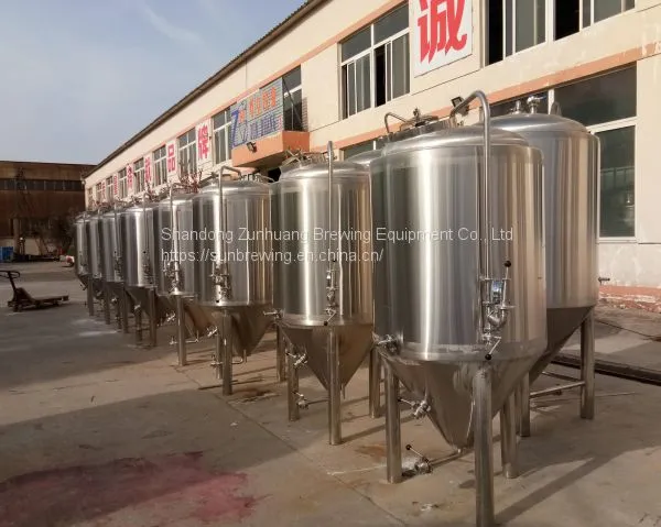 300L Beer Brewing System for Micro Brewery Brewing Equipment Manufacturer in China photo-5